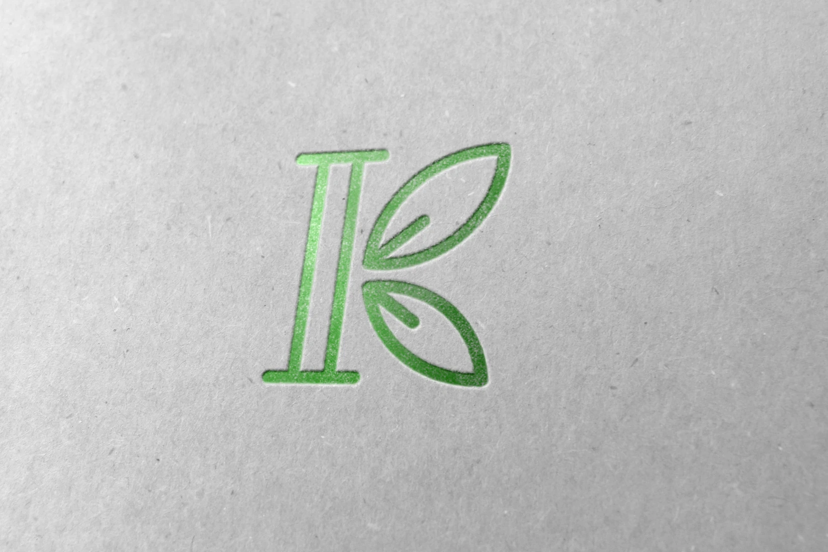 Klein Investment Group: Printed application